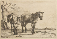TvB G 2250
<br/>
Trekpaarden (B 12)
<br/>
<em>Potter, Paulus (1625-1654) - kopie naar</em>